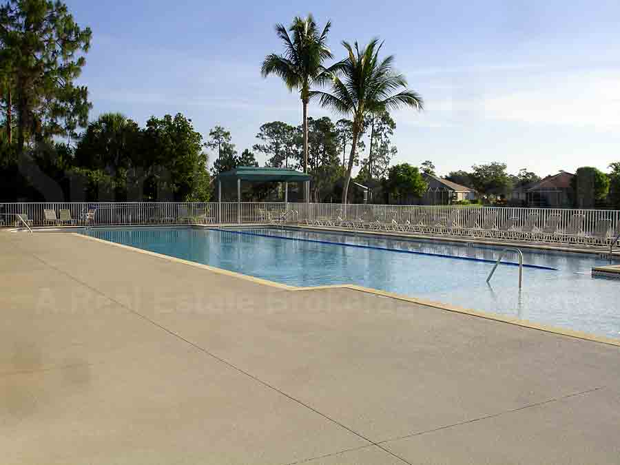 THE SHORES Community Pool